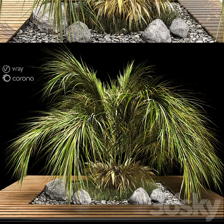 palm tree 3D Model Free