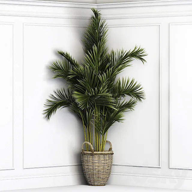 Palma corner 3DModel