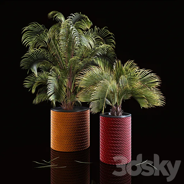 Palms 3D Model