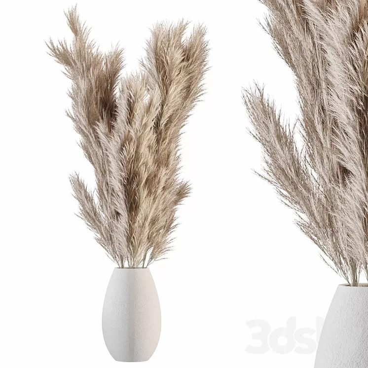 Pampas 01 3D Model Free