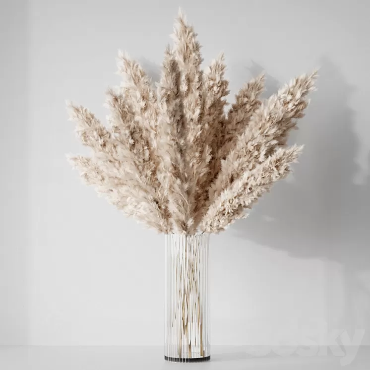 Pampas 3D Model