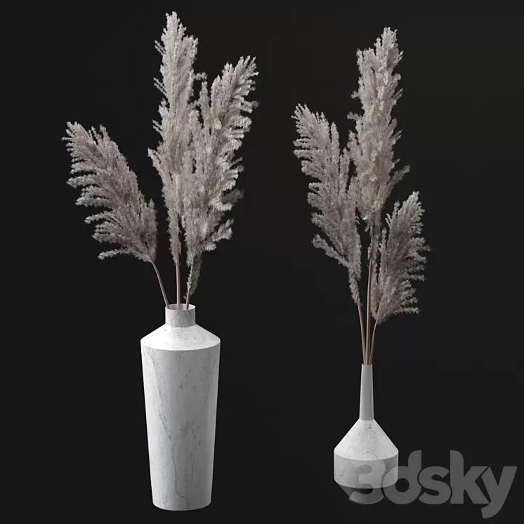 Pampas bouquets 3D Model
