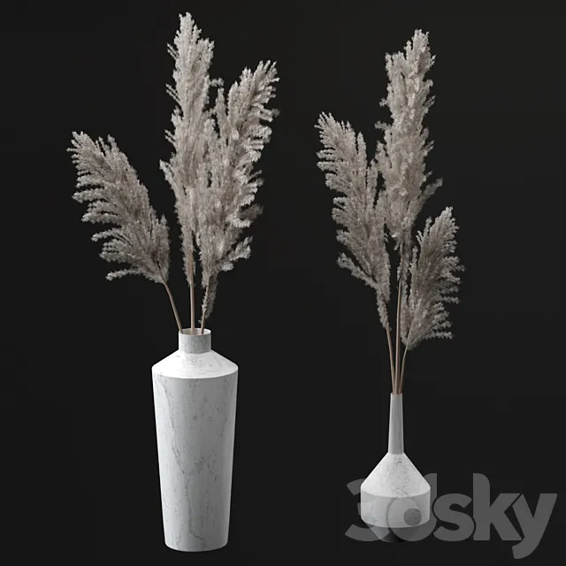 Pampas bouquets 3DModel