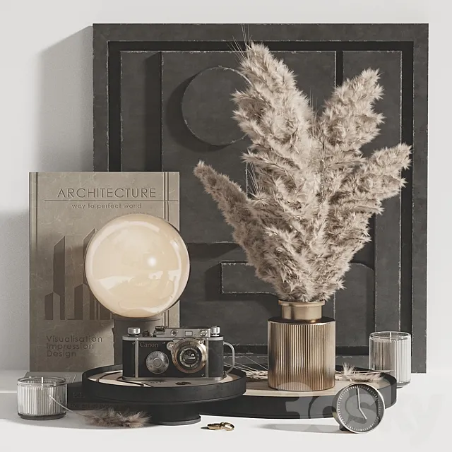 Pampas decor set 3DModel
