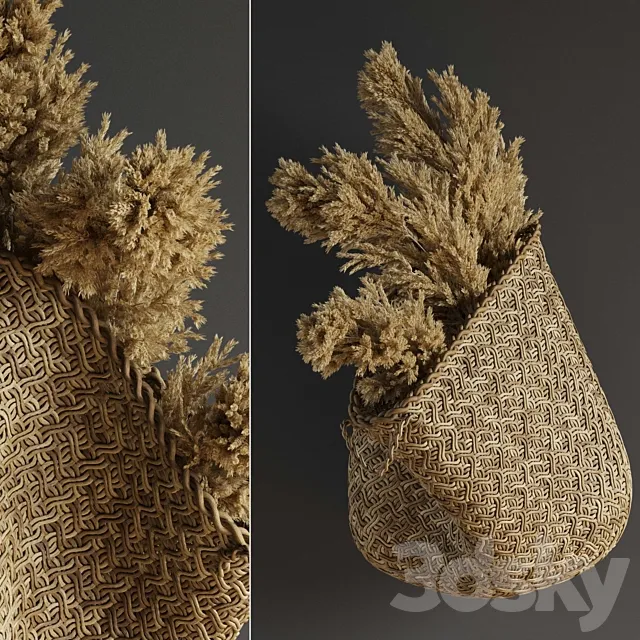 Pampas flower in hand basket Free Download