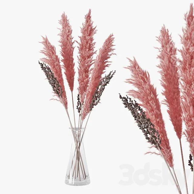 Pampas grass 04 3DModel