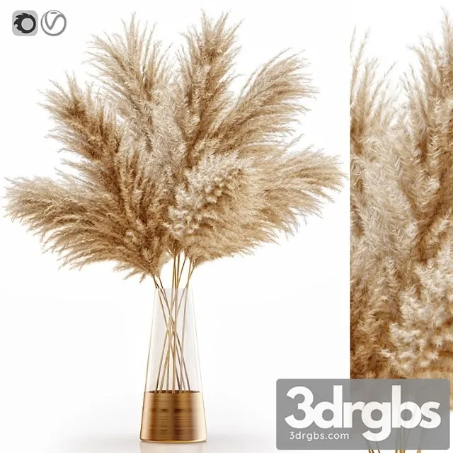 Pampas Grass 11 3D Model Free