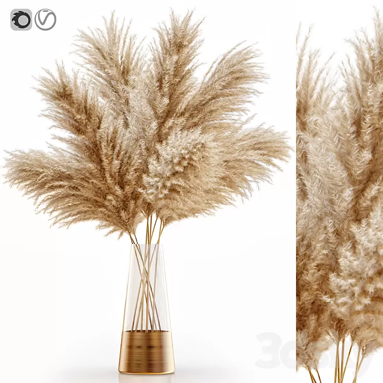 Pampas grass 11 3D Model