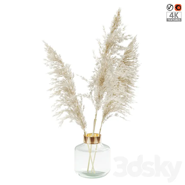 ????????? ????? (Pampas grass) 3DModel