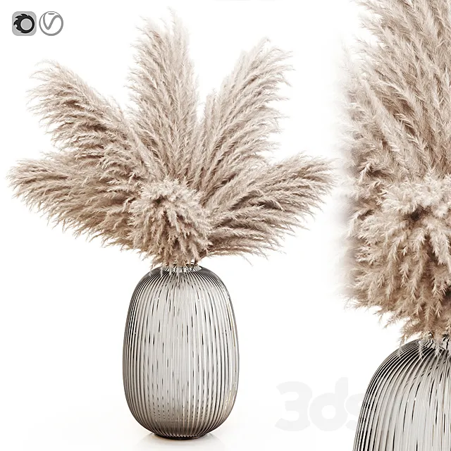 Pampas grass 8 3D Model
