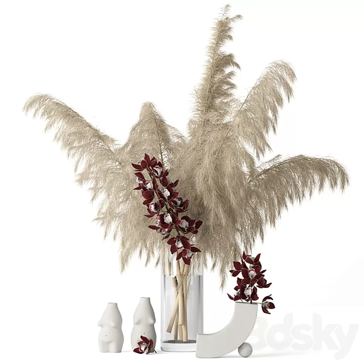 Pampas grass and Cymbidium 3D Model