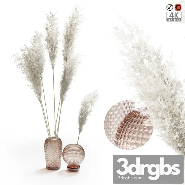 Pampas Grass Bouquet 1 3D Model Free