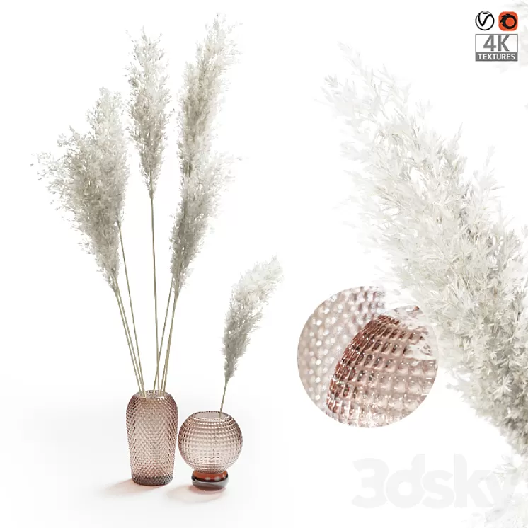 Pampas grass bouquet 3D Model