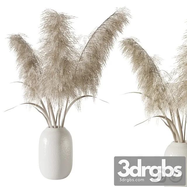 Pampas Grass Bouquet 3D Model Free