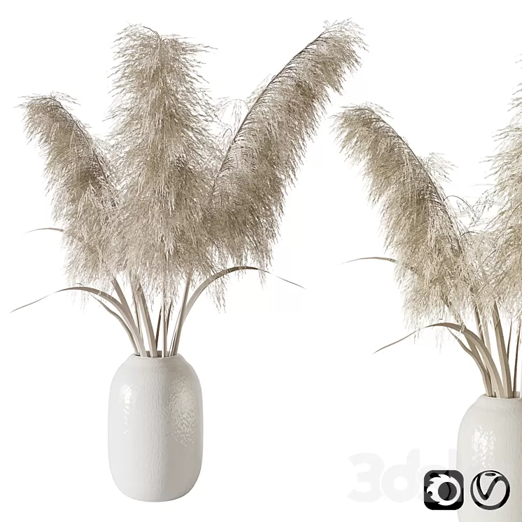 Pampas grass bouquet 3D Model