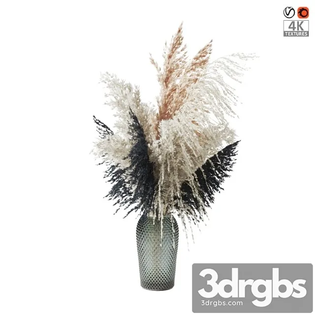 Pampas grass bouquet (????? ?????????? ?????)