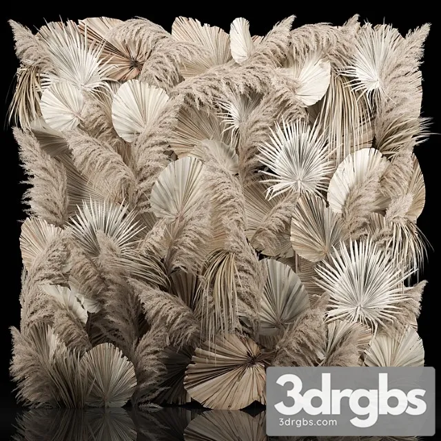 Pampas Grass Dry Palm Branches Cortaderia Leaves And Reeds 274 3D Model Free