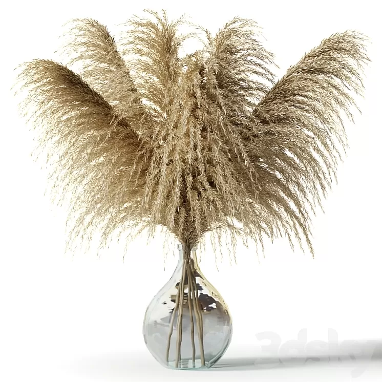 Pampas grass in a glass vase - Sofia Bouquet