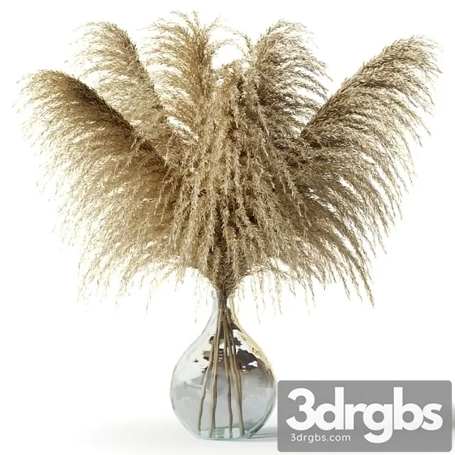 Pampas grass in a glass vase - sofia bouquet