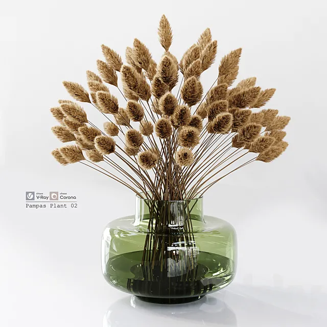 Pampas Plant 02 3DModel