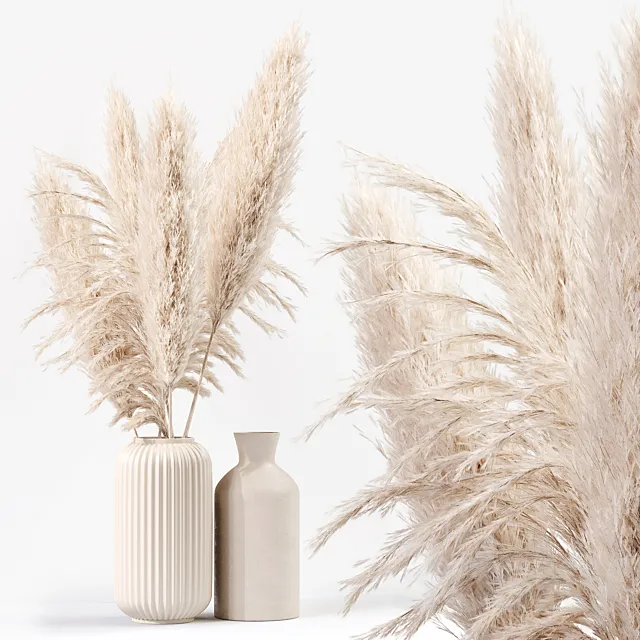 Pampas Plant 03 3D Model