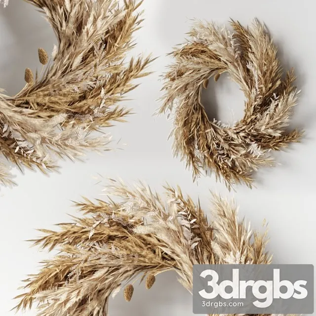 Pampas Wall Decor 02 3D Model Free