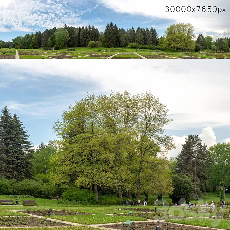 Panorama from the park v2. 30k 3D Model Free Download