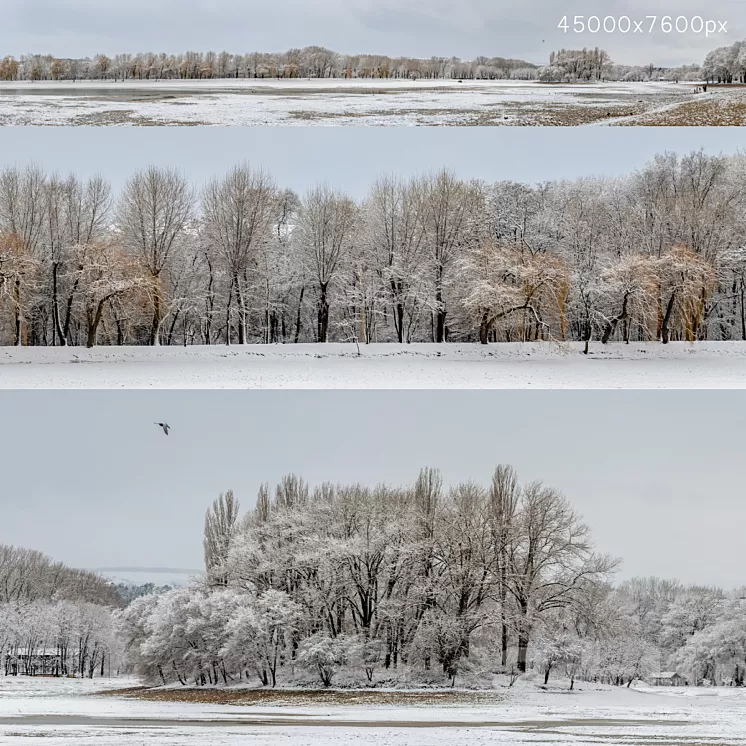 Panorama of the park with a lake and snow-covered trees. 45k 3D Model Free Download