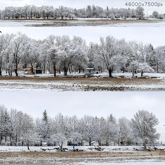 Panorama of the park with a lake and snow-covered trees. 46k Free Download