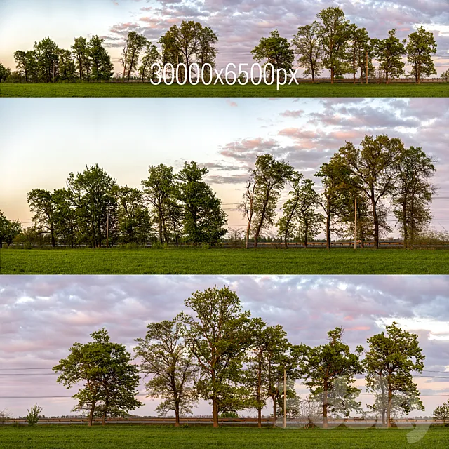 Panorama with trees. Sunset 3D Model