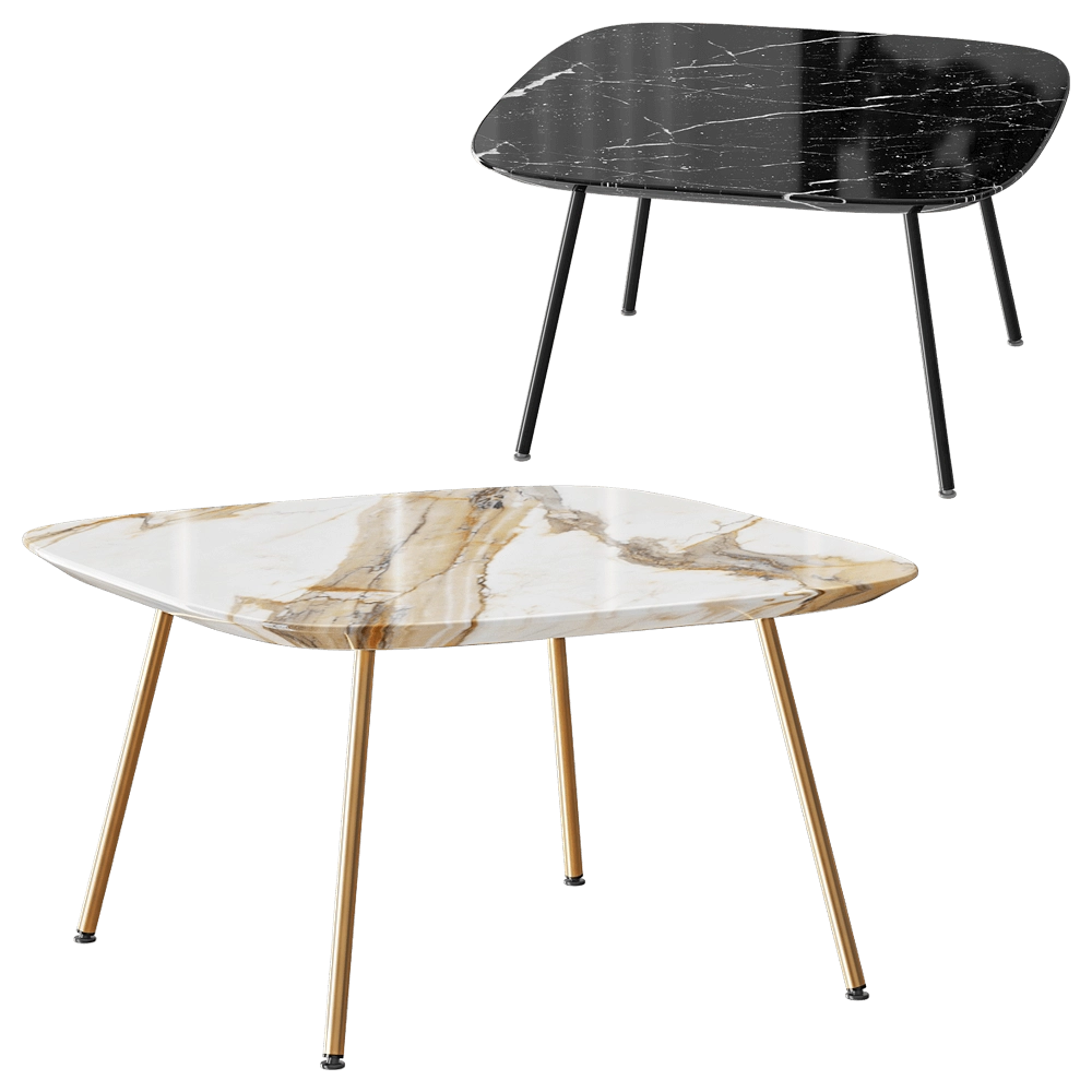 Paola Zani - Coffee table Asia 3D Model
