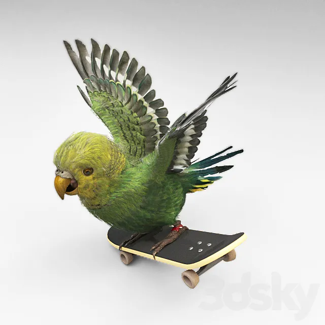 Parrot 3D Model