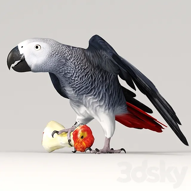 Parrot Jaco Free Download
