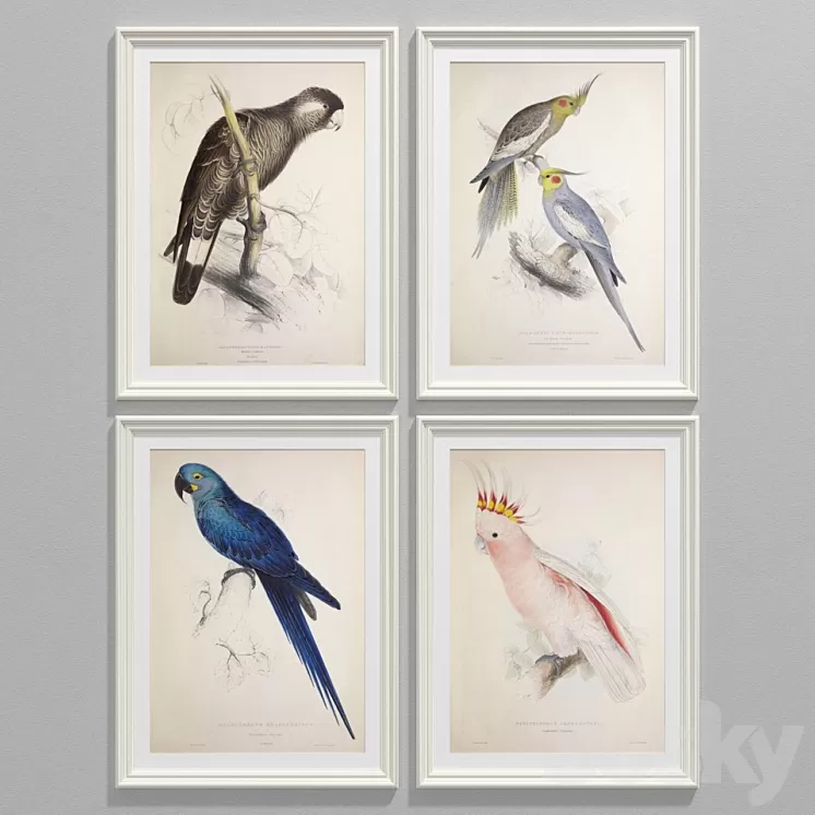 Parrot set 3D Model