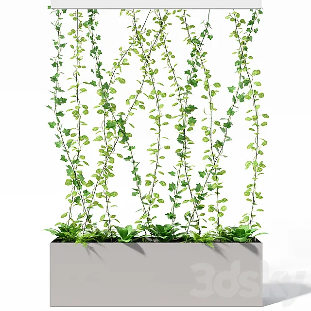 partition plant 3DModel