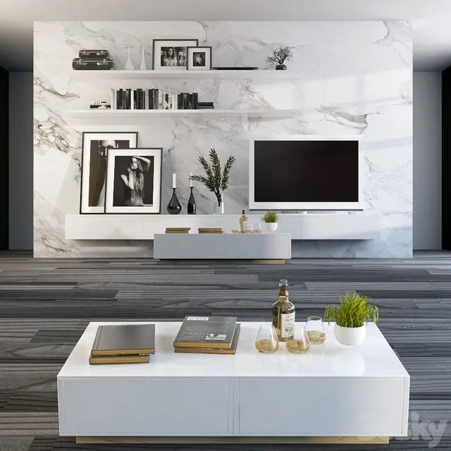 Partition wall with TV 3D Model