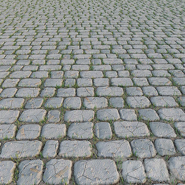 Paving Stone and Grass Free Download