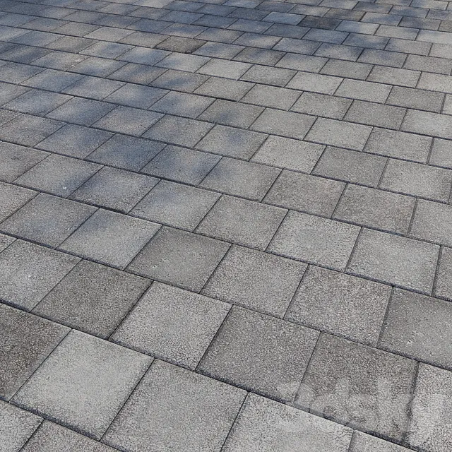 Paving stones 5 3D Model