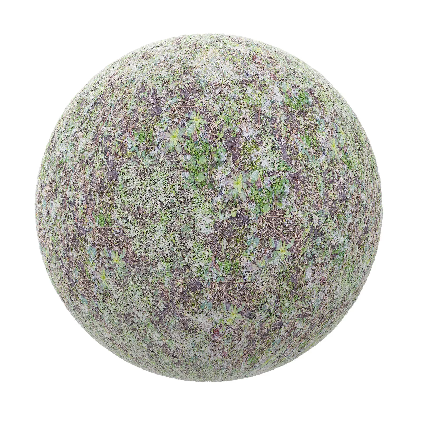 PBR CGAXIS TEXTURES – SNOW – Grass With Little Snow 1