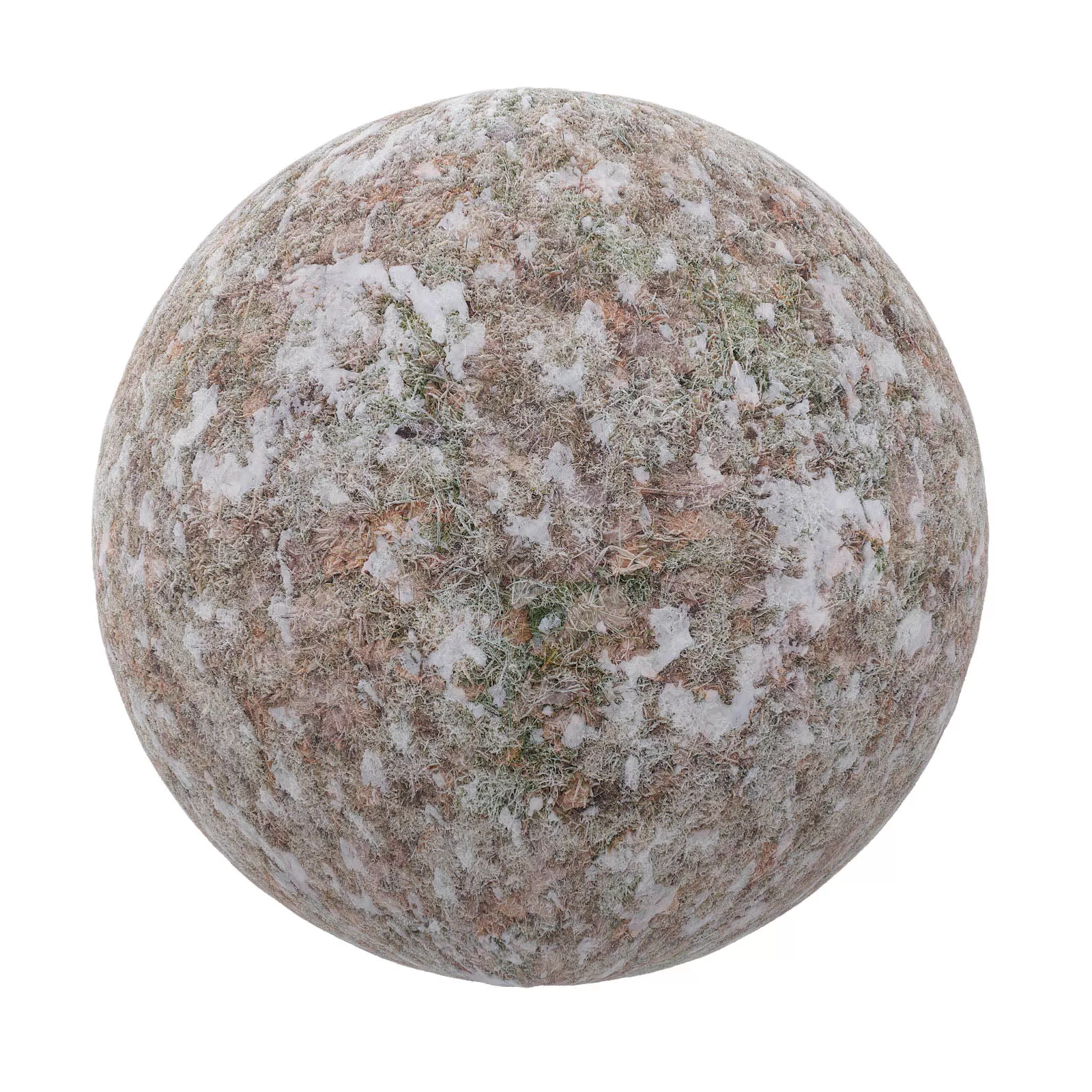 PBR CGAXIS TEXTURES – SNOW – Snow With Dry Leaves 2