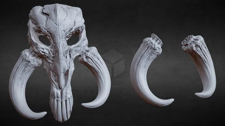 PBR Game 3D Models - 3D PRNTBL MYTHOSAUR SKULL AND HORNS   STAR WARS