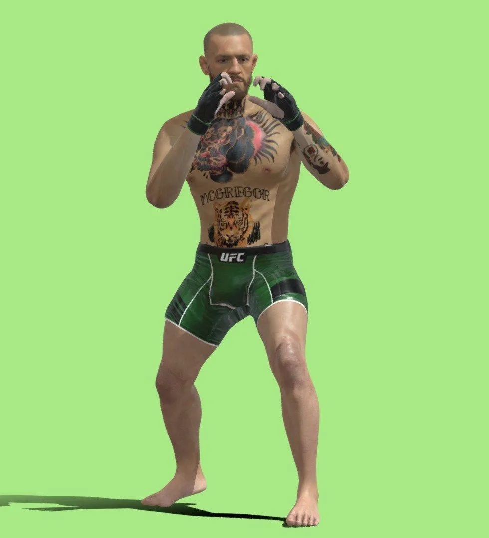 PBR Game 3D Models - 3D Rigged Conor Mcgregor