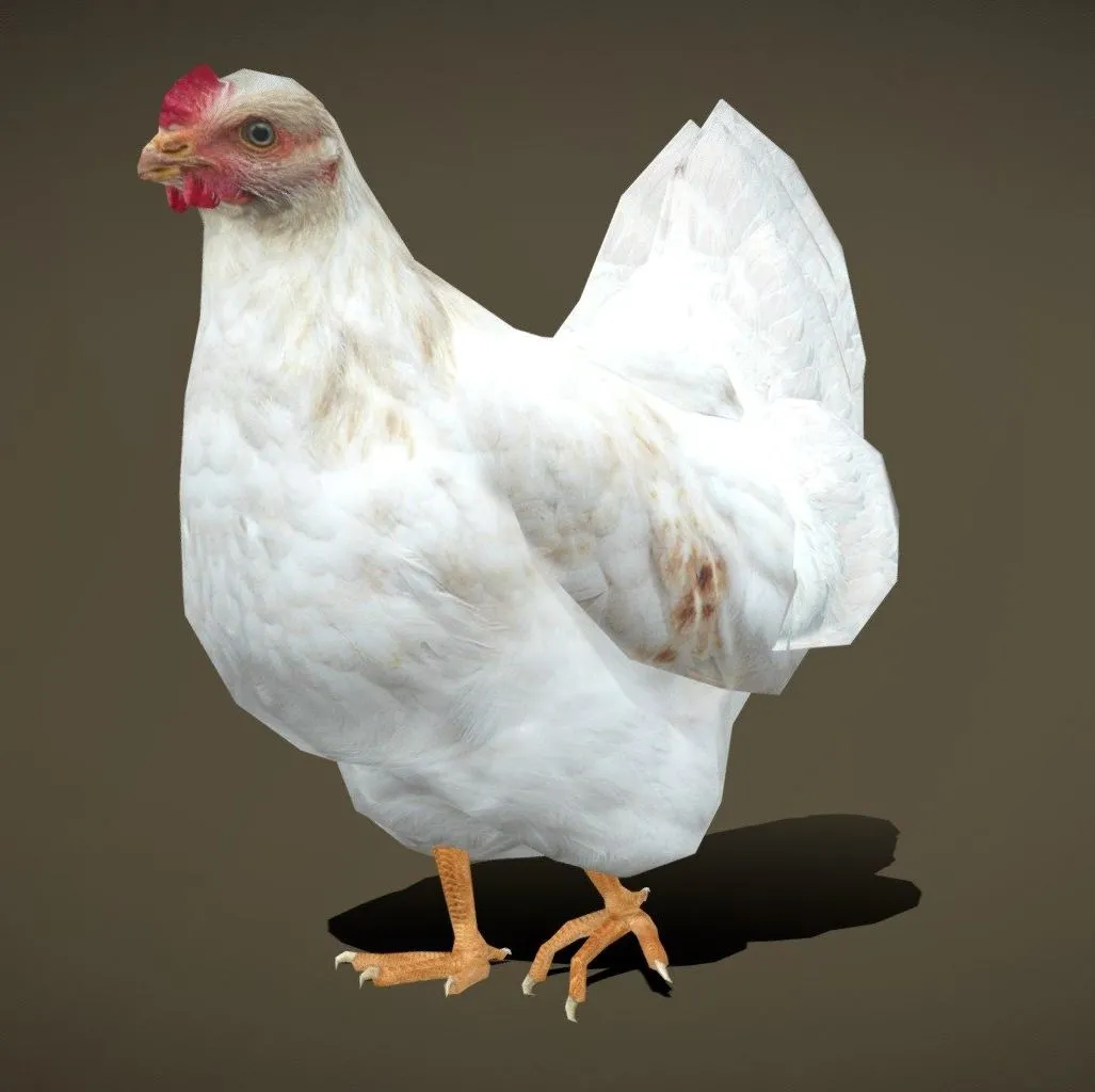 PBR Game 3D Models - 3Drt Domestic Animals Chiken