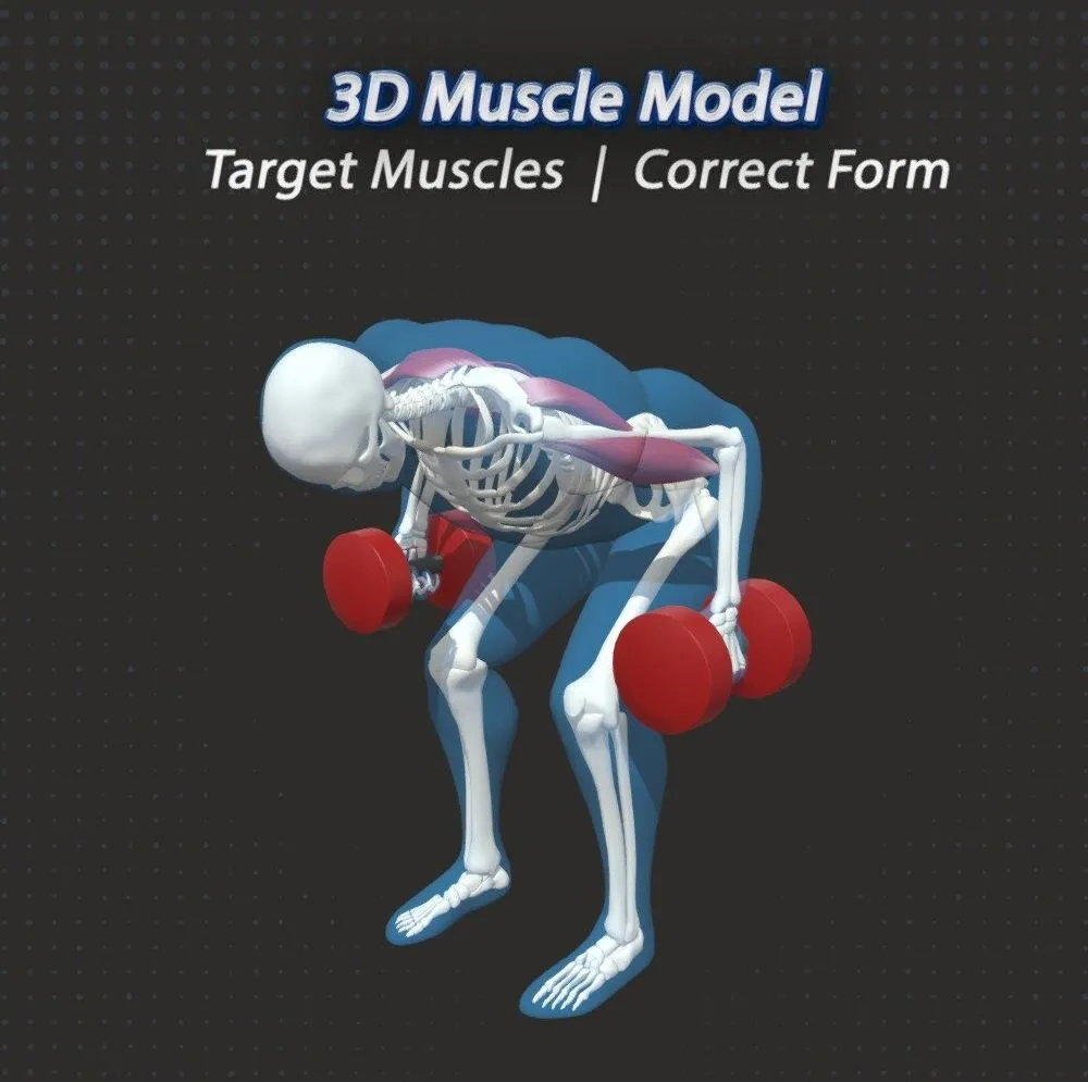PBR Game 3D Models - 49 Dumbbell Rows