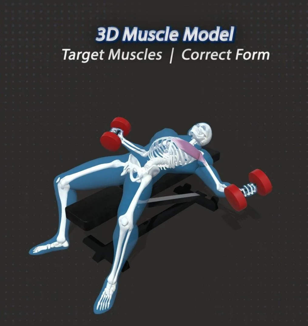 PBR Game 3D Models - 62 Dumbbell Flys