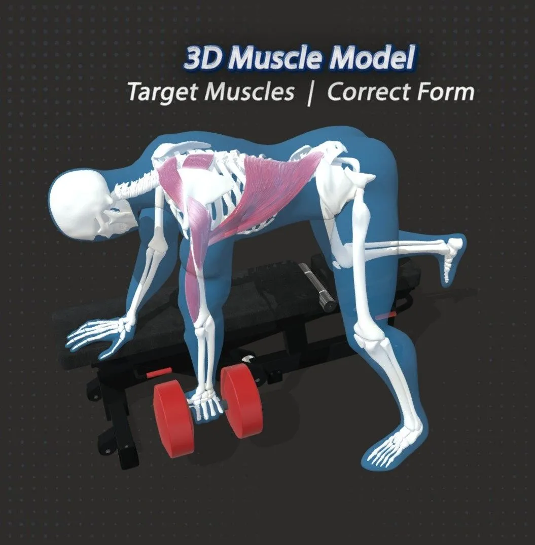 PBR Game 3D Models - 63 The Single Arm Row Sar