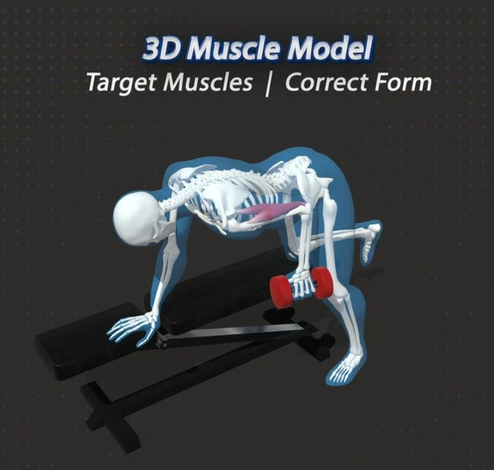 PBR Game 3D Models - 63 Tricep Kickbacks Dumbbell