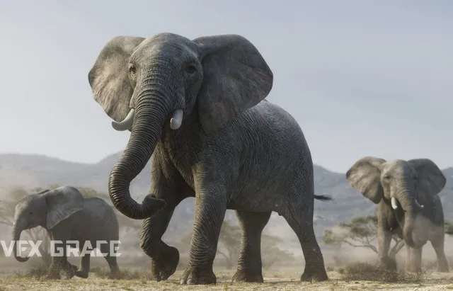 PBR Game 3D Models - African Elephant Animated - VFX Grace