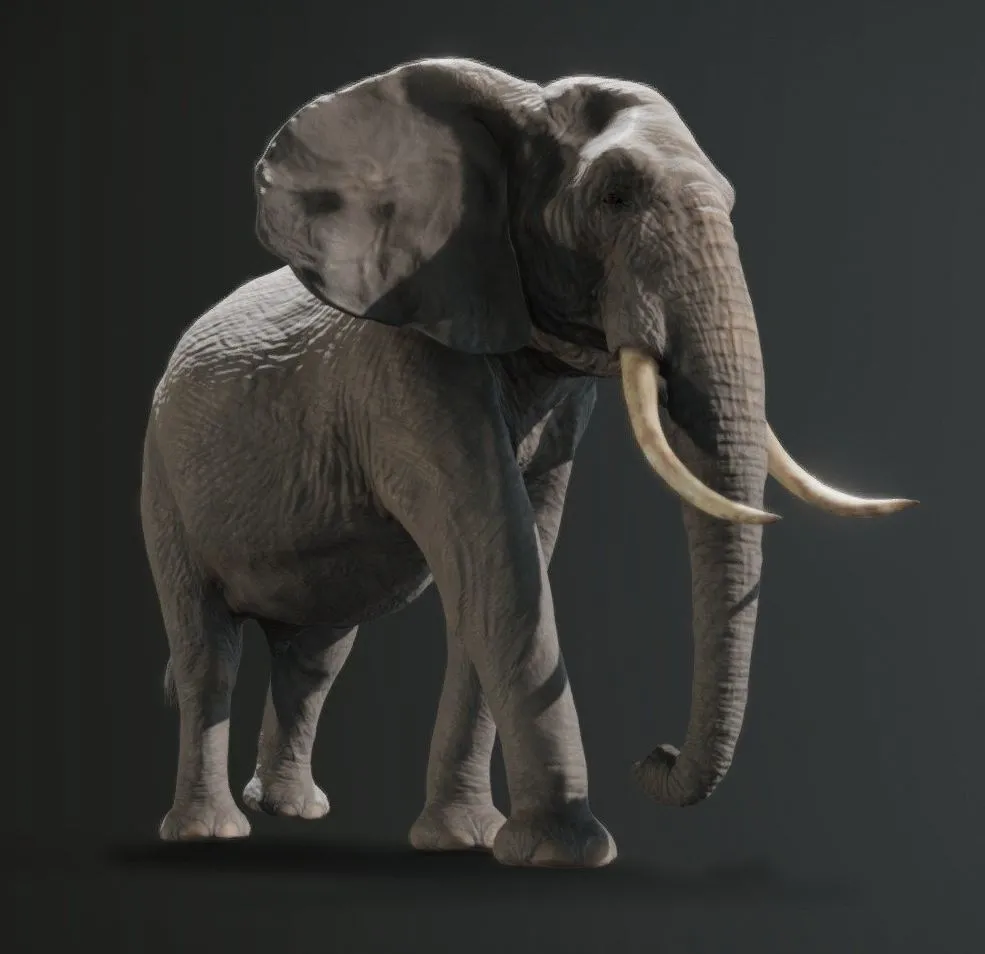 PBR Game 3D Models - African Elephant Pbr Low Poly