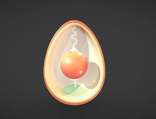 PBR Game 3D Models - Anatomy Of Bird Egg